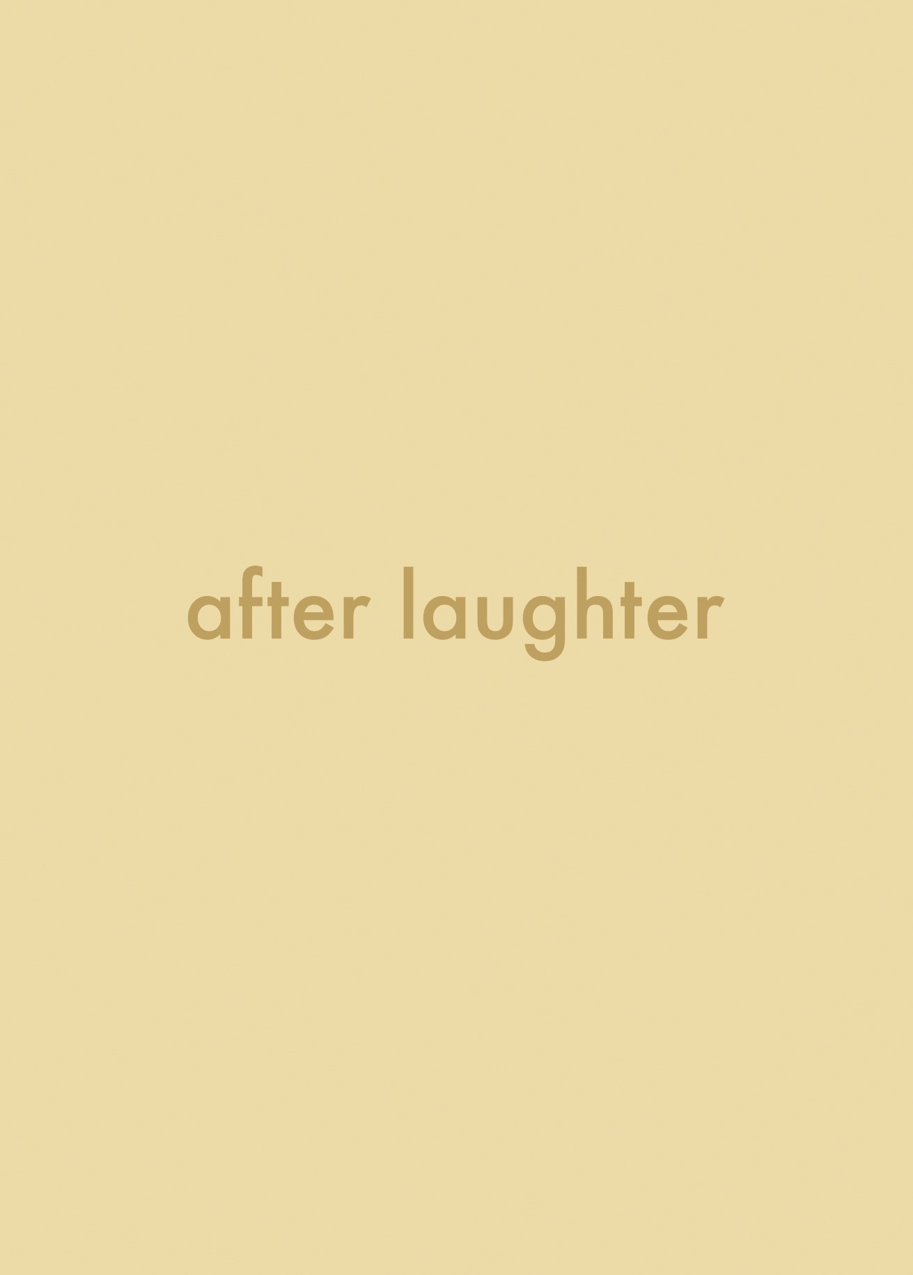 Bild zur Ausstellung AFTER LAUGHTER