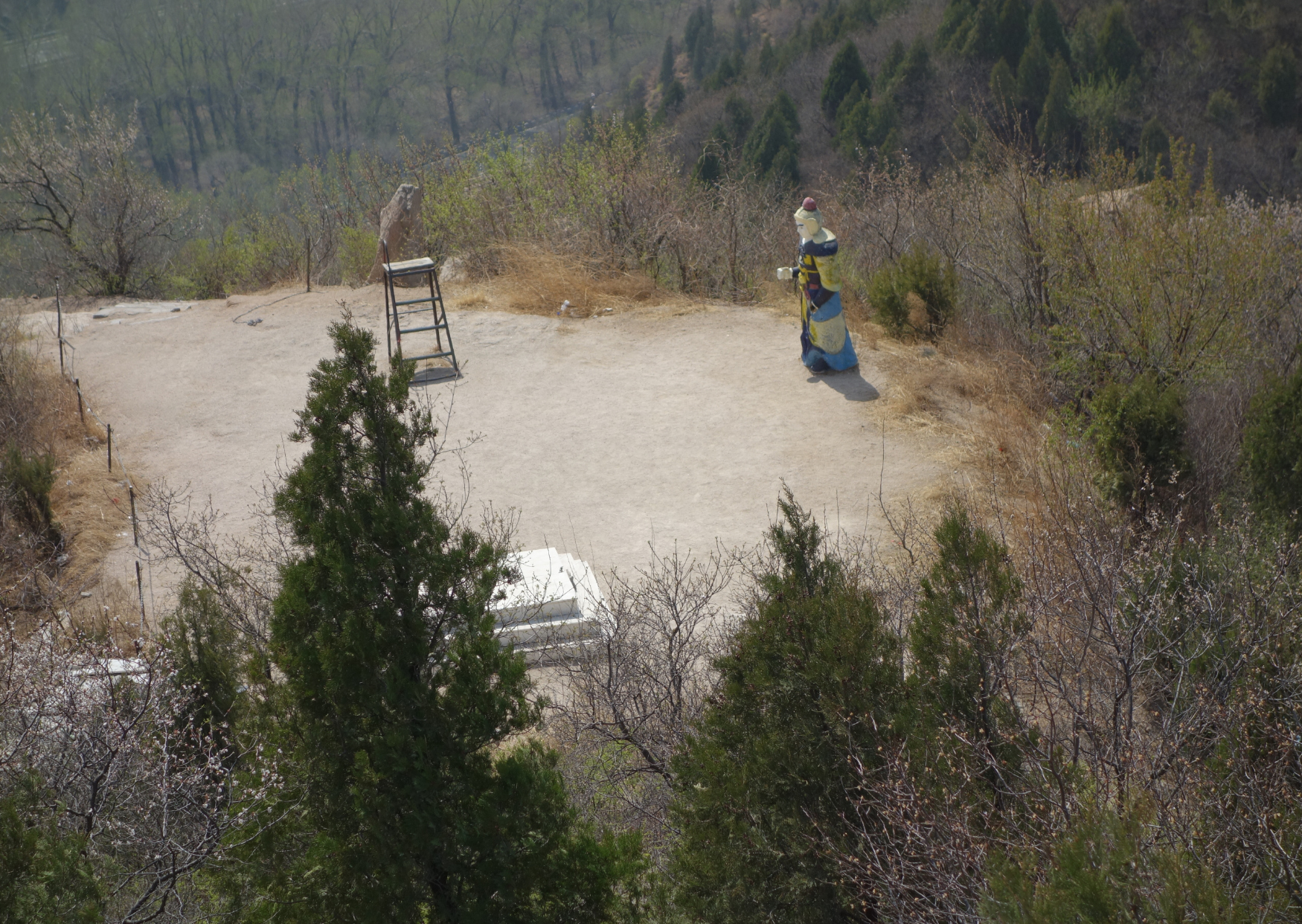 Bild zur Ausstellung EINE SCHWALBE PROBIERT DIE KALTE LUFT